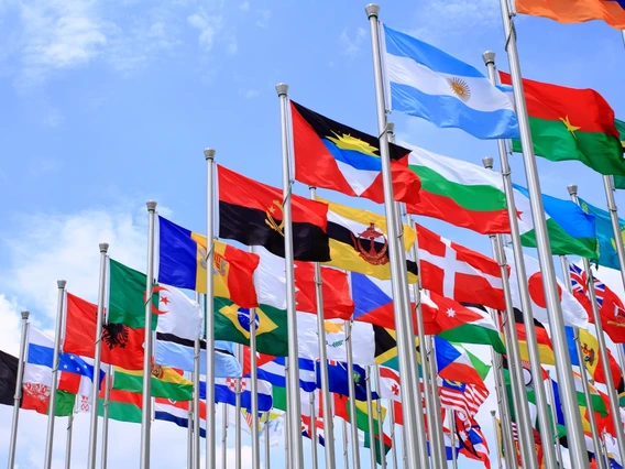 An array of different national flags flutter in the wind.